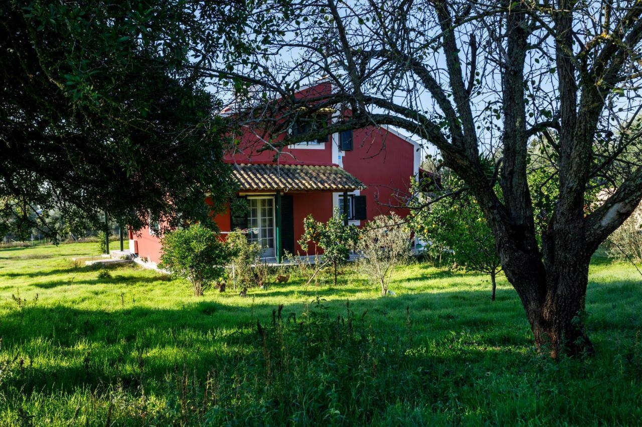 Fridas Place Halikounas Exteriör bild